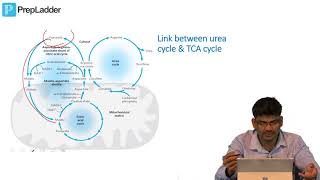 TCA Cycle  MCQ discussion [upl. by Yramesor]