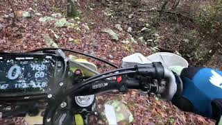 2024 Fall Talimena Singletrack  Trail 9 Rooty Section [upl. by Noicpesnoc]