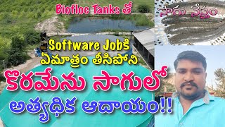 Fish Farming in Telugu  Biofloc  బయోఫ్లాక్ పద్ధతిలో కొరమేను చేపల సాగు విధానం  Sagu Nestham [upl. by Ahsiri]