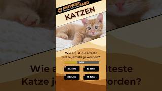 Ratespass Wie alt wurde die älteste Katze  Wie viele Menschenjahre entsprechen einem Katzenjahr [upl. by Nolitta]