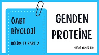 GENDEN PROTEİNE2 öabtbiyoloji proteinsentezi translation biyoloji [upl. by Idnal152]