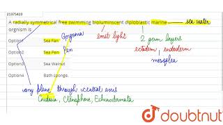 A radially symmetrical free swimming bioluminscent diploblastic marine orgnism is [upl. by Pauly78]