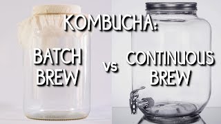 Kombucha Batch Brew vs Continuous Brew [upl. by Ric]