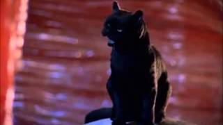 The Best Of Salem Sabrina The Teenage Witch [upl. by Nirtak]