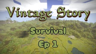 Lets start a new adventure  Vintage Story  Survival  Ep 1 [upl. by Bess]