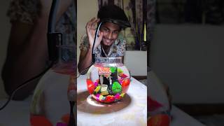 कैसा है👆 Aquarium Fish Bowl Setup 🤯😱shorts fish viralvideo trending aquarium [upl. by Leirbma651]