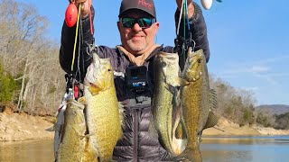 Cherokee lake Bass fishing March 29th [upl. by Zielsdorf]