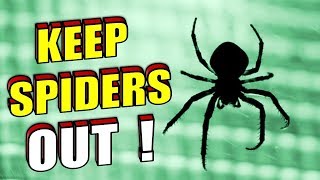 How To Naturally Stop Spiders From Entering Your Home  Room [upl. by Esaj157]