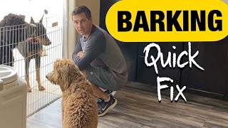 Quick and long lasting solutions to barking [upl. by Hoskinson]