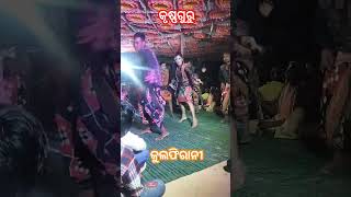 new sambalpuri song krushnaguruchocobarshortsvideos [upl. by Rolland854]