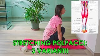 🔴 Stretching Polpacci [upl. by Gentes]