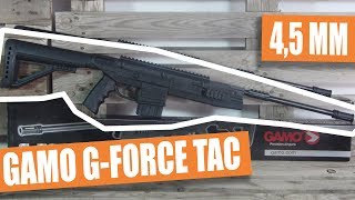 Gamo G Force TAC [upl. by Dorin]