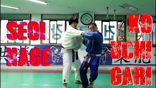 Seoi Nage and Ko Uchi Gari Combination by Korean 7th Dan HD [upl. by Nnylyma]