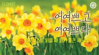 엘로히스트 읽을 때 듣기 좋은 새노래 5  2024 [upl. by Ear947]