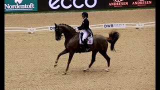 Cathrine Dofour  Bohemian  Dressage Grand Prix [upl. by Buyers]