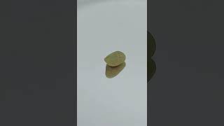 Rarest GREEN raw SAPPHIRE gem found in Italy 💎 Amazing specimen [upl. by Ydnes138]