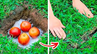 New Gardening Hacks That Will Blow Your Mind  Growing Hacks For Plant Lovers [upl. by Liuka]