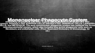 Medical vocabulary What does Mononuclear Phagocyte System mean [upl. by Merrie635]