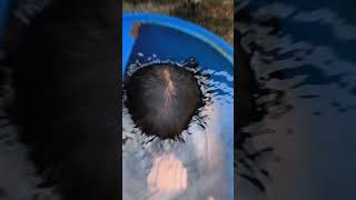 Angana mein swimming cool 😎 funny swimming shorts trending video short [upl. by Yaniv]