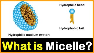 What is Micelle  Hindi  Dr Priyank Singhvi [upl. by Aicirtap997]