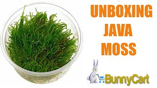 Unboxing Java Moss From BunnyCart [upl. by Hobie]