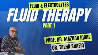 How to do Fluid Therapy in Dogs amp Cats Part1 Fluid and Electrolytes [upl. by Silva314]