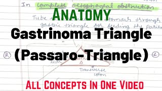 Gastrinoma Triangle Stomach  Anatomy Rachana Sharir  BAMS First Year  Being Doctor 😈 [upl. by Adnarom]