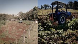 HORTA DO ZERO Ep 03  Limpeza da área Espinhos desafiadores mas vamos plantar hortaliças [upl. by Kcirderf]