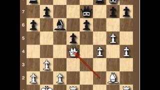 Anand vs Topalov Candidates Round 8 Analysis [upl. by Ahsiemat205]