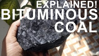 How coal is formed  Practically demonstration [upl. by Sinnaoi]