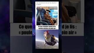 La poule 😭😭 mdr memes viralvideo pourtoi drole humour [upl. by Hannahoj]