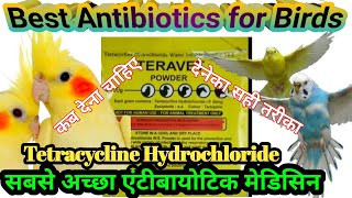 Tetracycline Hydrochoride Vet for bird  Tetracycline hydrochloride water soluble vet  Tetracycline [upl. by Aidaas]