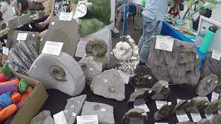 Yorkshire Fossil Festival Whitby 2023 fossils fossilhunting ammonites [upl. by Atirahs84]