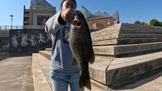 Fishing Behind the Tennessee Aquarium One of the best days of fishing [upl. by Lovel]