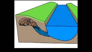 The geomorphology of a river [upl. by Chasse893]