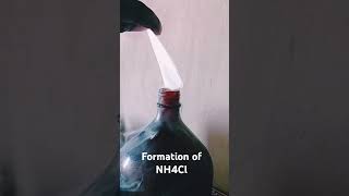 Formation of NH4Cl chemistry [upl. by Acus423]