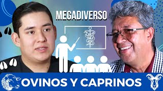 Ovinos Caprinos y Aprendizaje Secretos de un Mentor Veterinario 🐐🌱  Ep 19 Megadiverso [upl. by Clerk629]