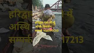 इस लड़की से मिलिए इस लड़की का नाम है पूजा शर्मा  short video [upl. by Kevina947]