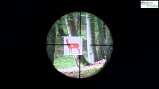 Vixen 520x50 SF reticle MIL Dot subtensions [upl. by Barnet155]