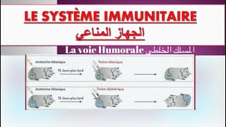 Le système immunitaire ملخص درس  réponse immunitaire spécifique à voie humorale [upl. by Aramal304]