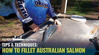 How to Fillet Australian Salmon for Salt amp Pepper Fish Bites [upl. by Kent624]