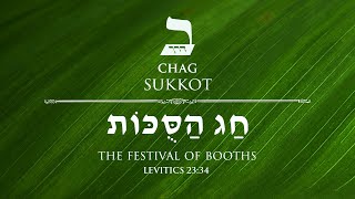 Sukkot Day 1 5784 [upl. by Idolla]