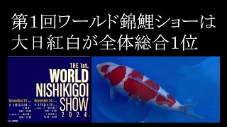 第1回ワールド錦鯉ショー The 1st World Nishikigoi Show 錦鯉 ＃品評会 ＃広島 ＃koi show [upl. by Pharaoh]