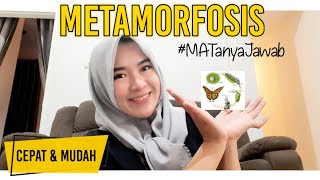 BARU TAU PERBEDAAN DAUR HIDUP DAN METAMORFOSIS [upl. by Redle]