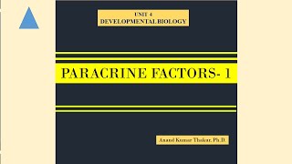 PARACRINE FACTORS  1 [upl. by Nomihs]