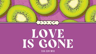 LOVE IS GONE I CHA EUN WOO [upl. by Hachman]