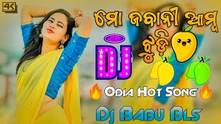 Mo Jabani Amba Jhudi Odia Song Dj  Odia Dj Song  Dj Babu Bls [upl. by Sura942]