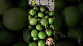 Envio de Quenepas Mamoncillo desde Puerto Rico hacia Florida [upl. by Aremihc867]