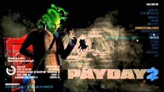 Payday 2 LAN launcher tutorial SSE 136b launcher [upl. by Llebanna]