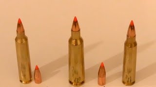 22250 223 amp 204 Ruger vs 5 gallon water jugs at 300 yards [upl. by Jahdol]